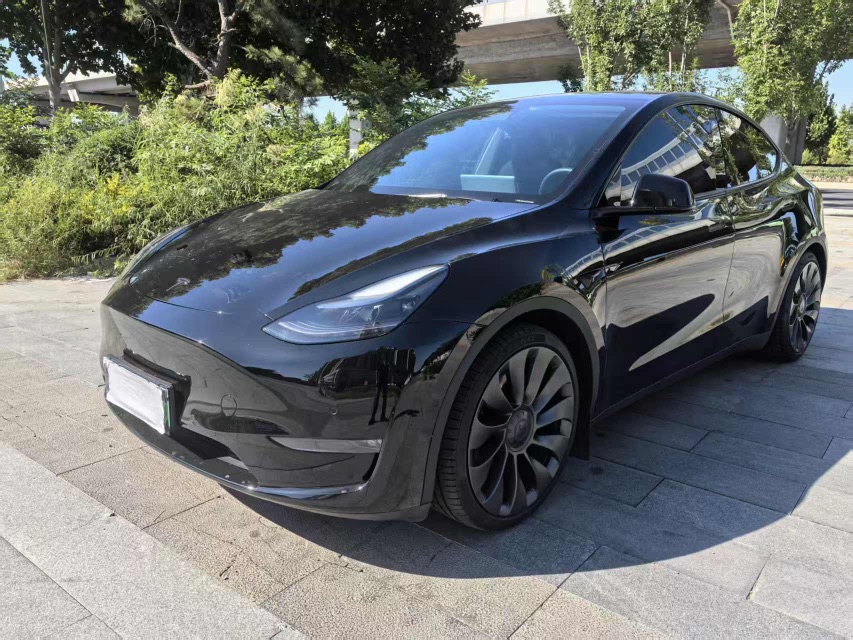 Tesla Model Y 2022 Tesla Model Y 2022 imagem de carro