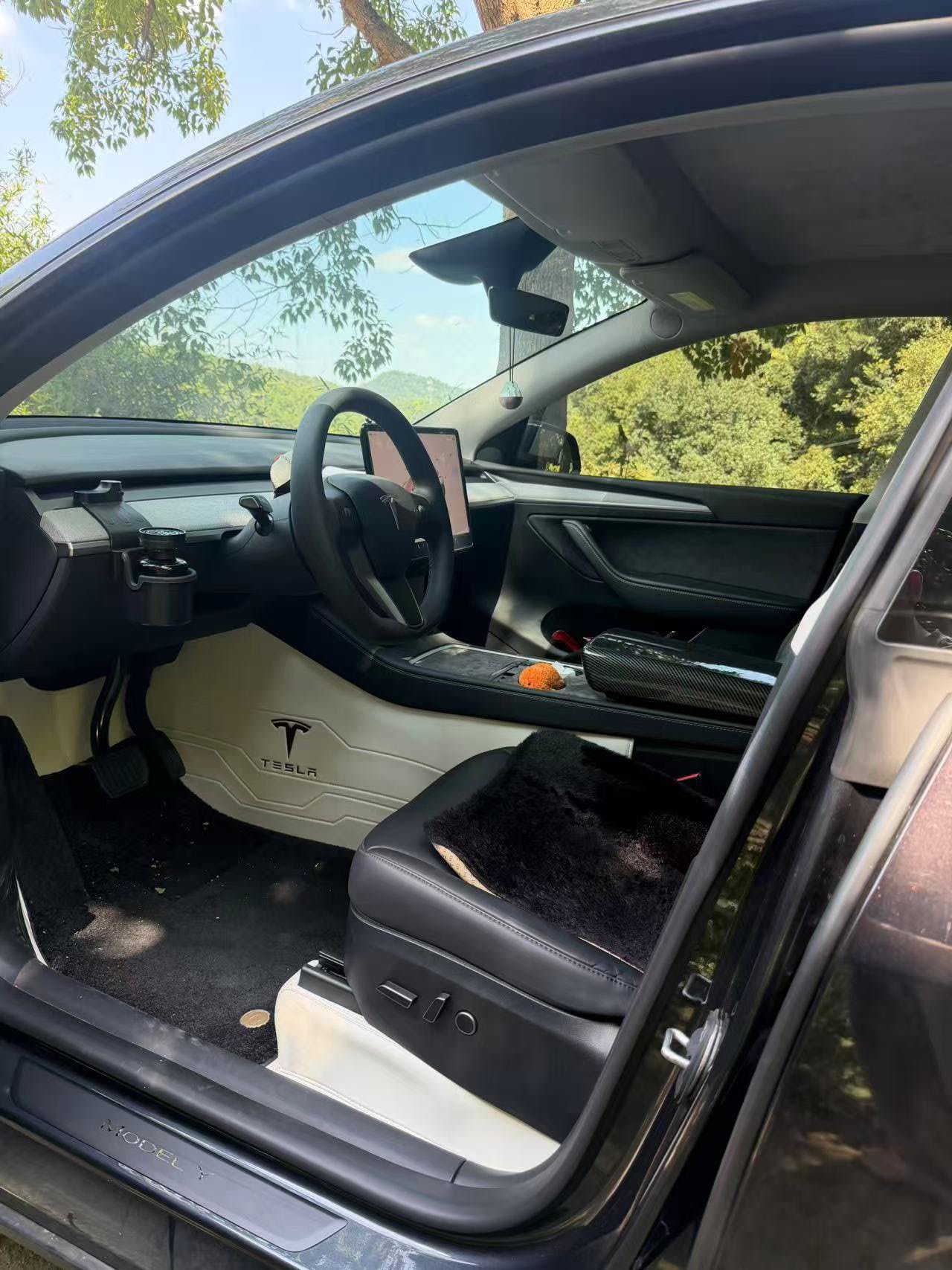 Tesla Model Y 2025 car image #4
