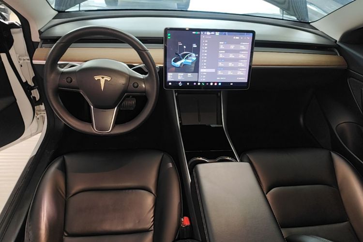 Tesla Model 3 2020 car image #13