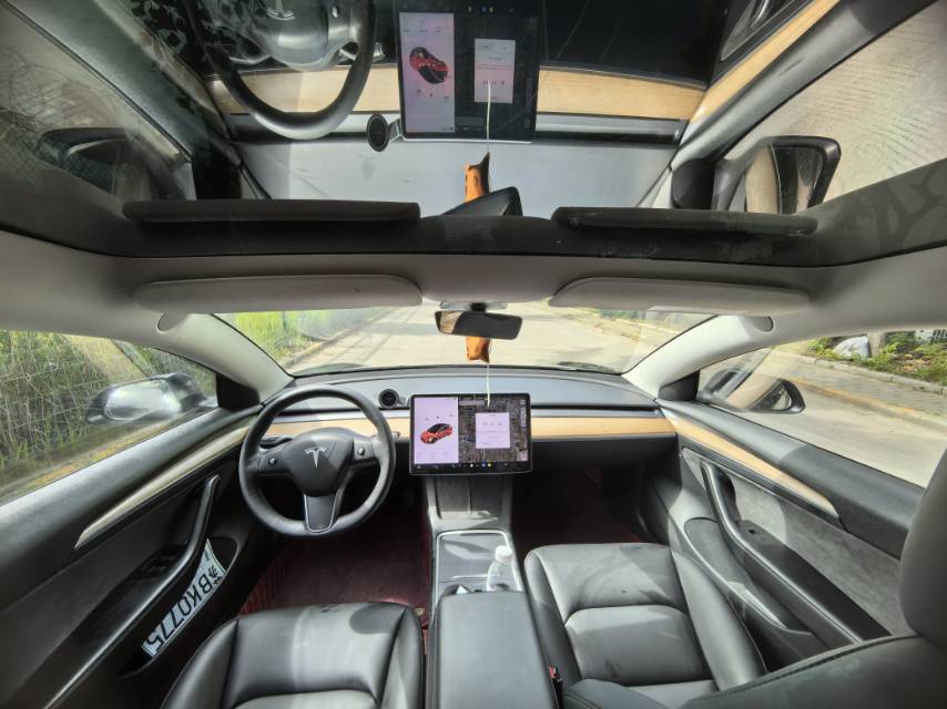 Tesla Model 3 2021 #4 Tesla Model 3 2021 car image #4