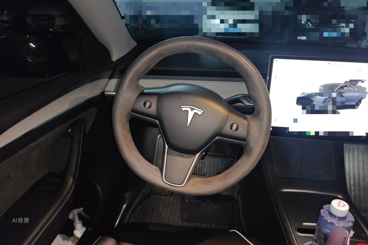 Tesla Model Y 2024 car image #12