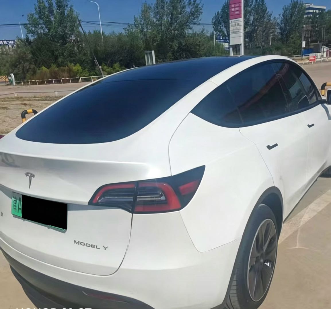 Tesla Model Y 2023 #8 Tesla Model Y 2023 car image #8