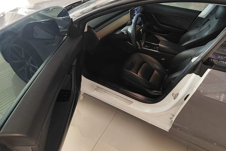 Tesla Model 3 2020 car image #16