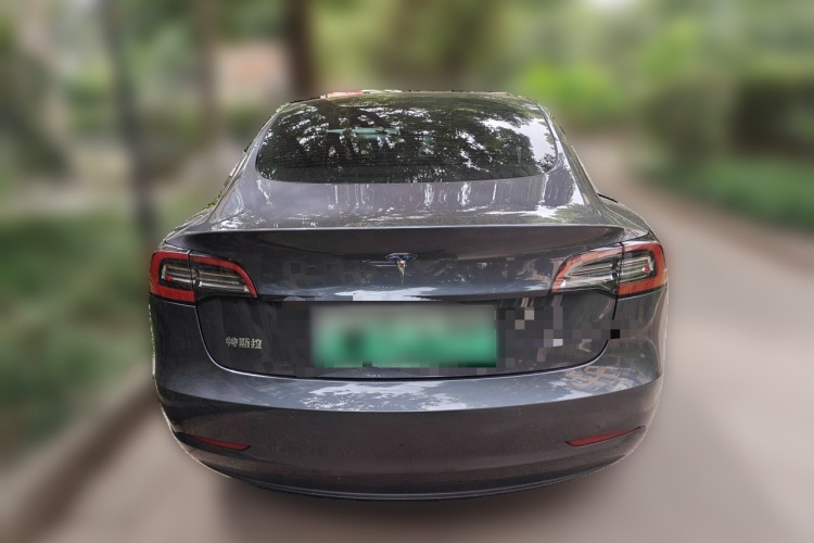 Tesla Model 3 2021 #4 Tesla Model 3 2021 car image #4