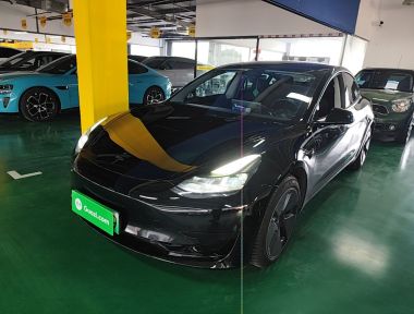 Tesla Model 3 2021 Tesla Model 3 2021 immagine di auto