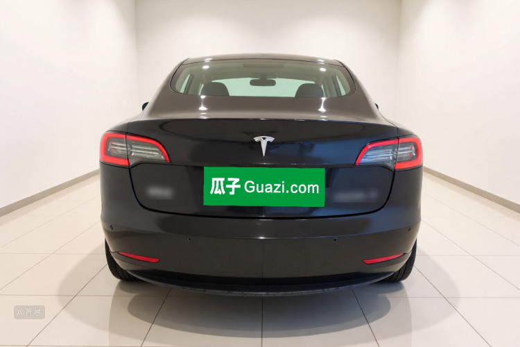 Tesla Model 3 2021 #6 Tesla Model 3 2021 car image #6