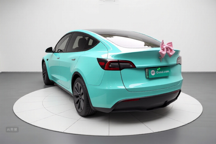 Tesla Model Y 2023 #5 Tesla Model Y 2023 car image #5