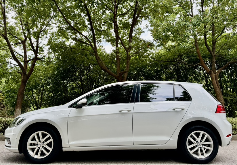 Volkswagen Golf 2019 imagen de coche #3