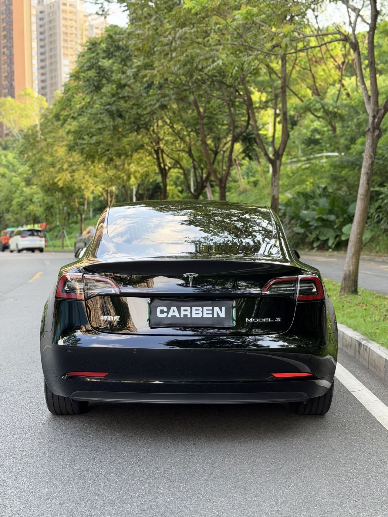 Tesla Model 3 2020 #8 Tesla Model 3 2020 car image #8
