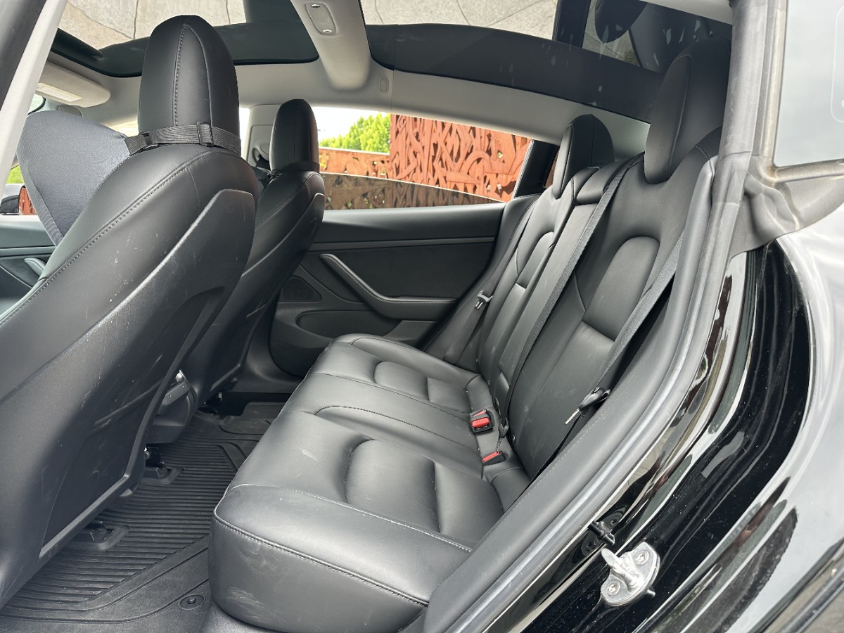 Tesla Model 3 2020 car image #10