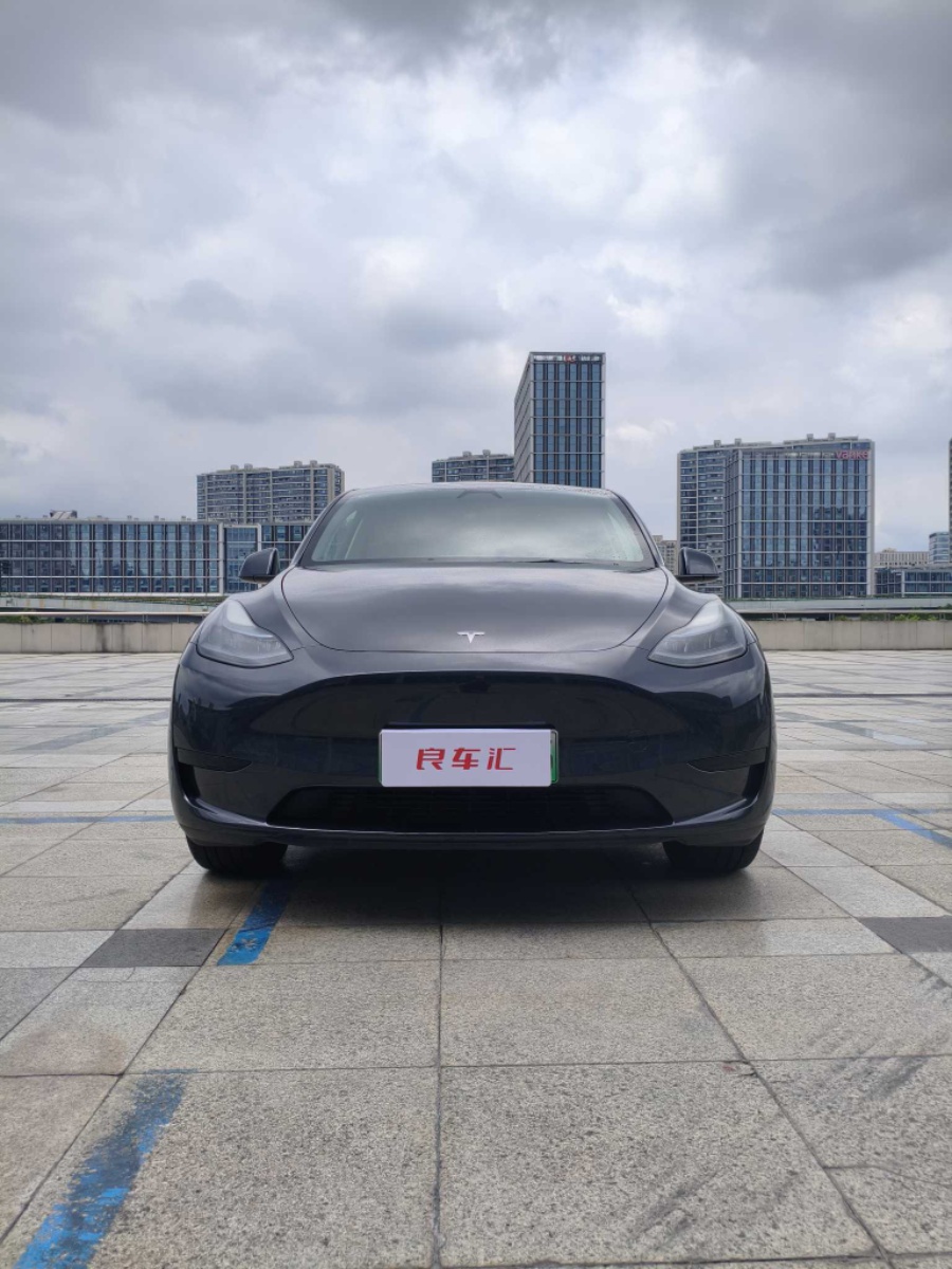Tesla Model Y 2024 car image #2