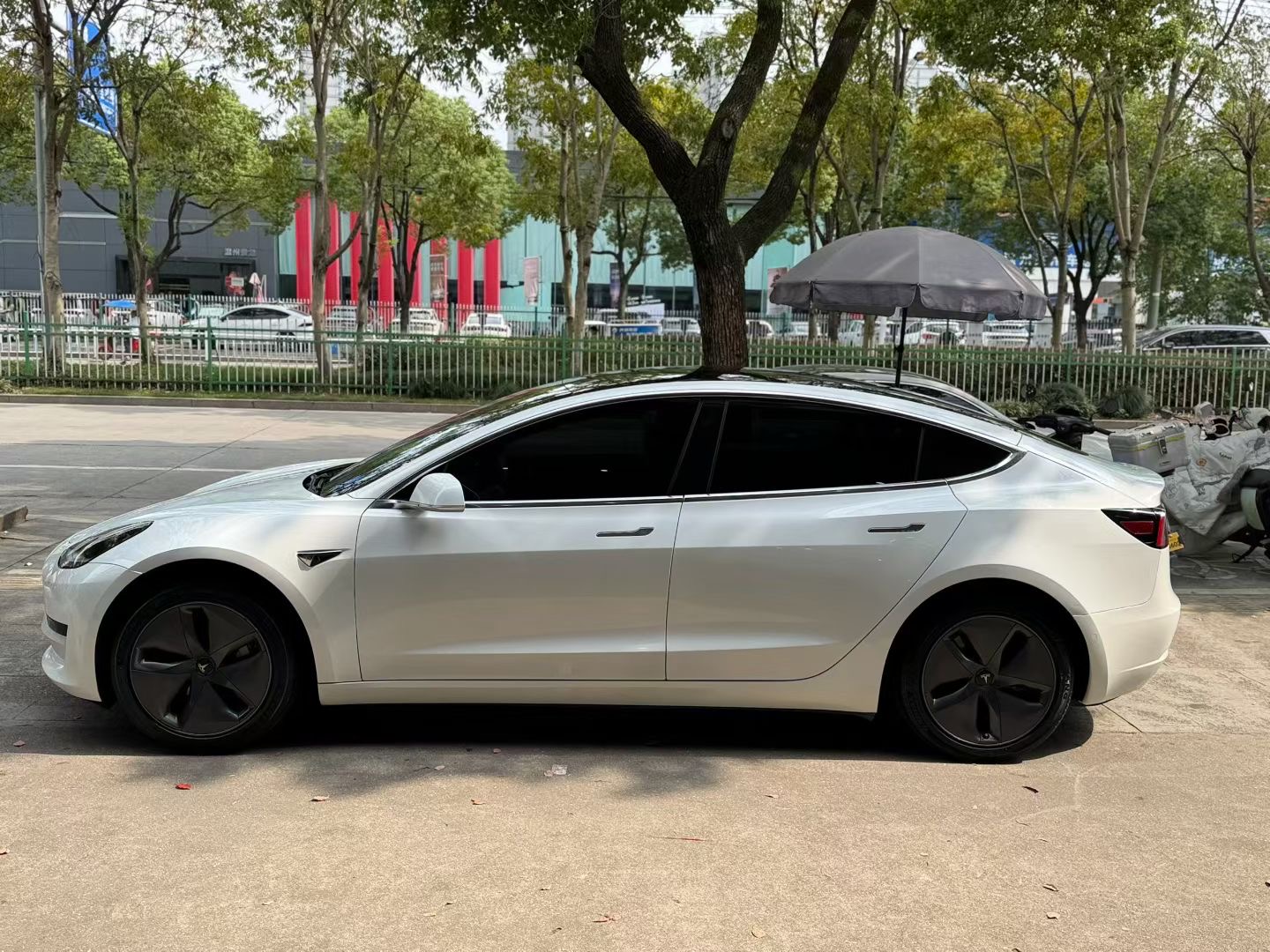 Tesla Model 3 2020 #6 Tesla Model 3 2020 car image #6