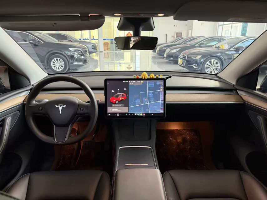 Tesla Model Y 2021 car image #9