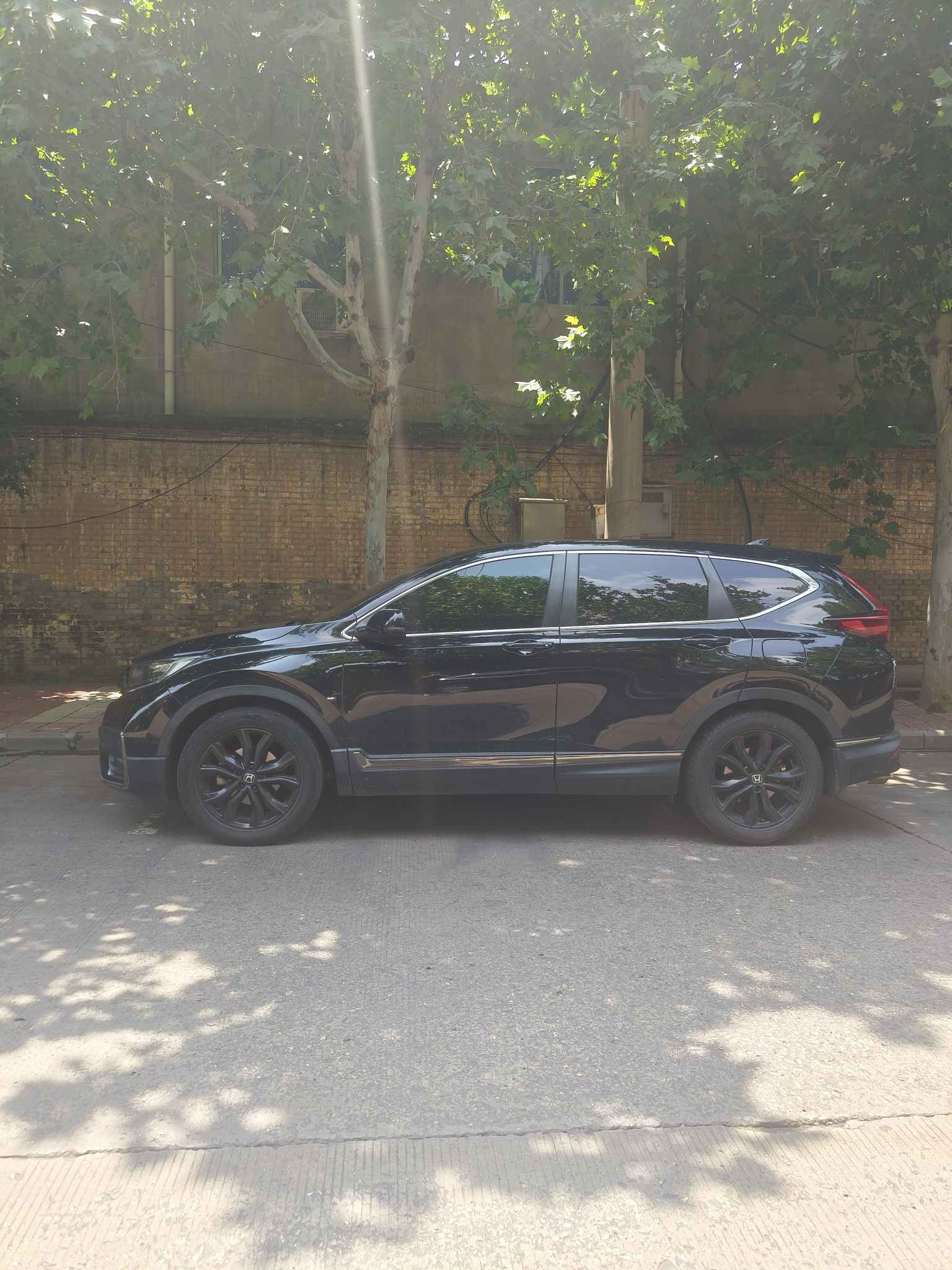 2020 #19 2020 car image #19