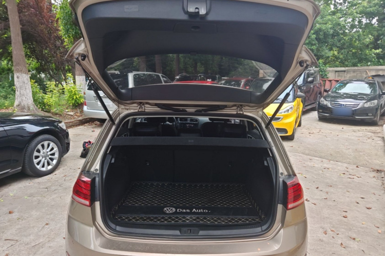 Volkswagen Golf 2019 #21 Volkswagen Golf 2019 car image #21