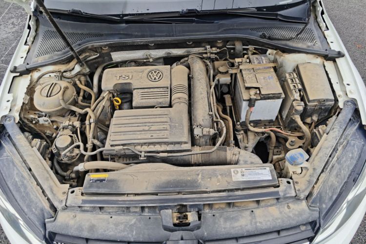 Volkswagen Golf 2020 #20 Volkswagen Golf 2020 car image #20