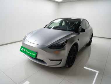 Tesla Model Y 2022 car image 