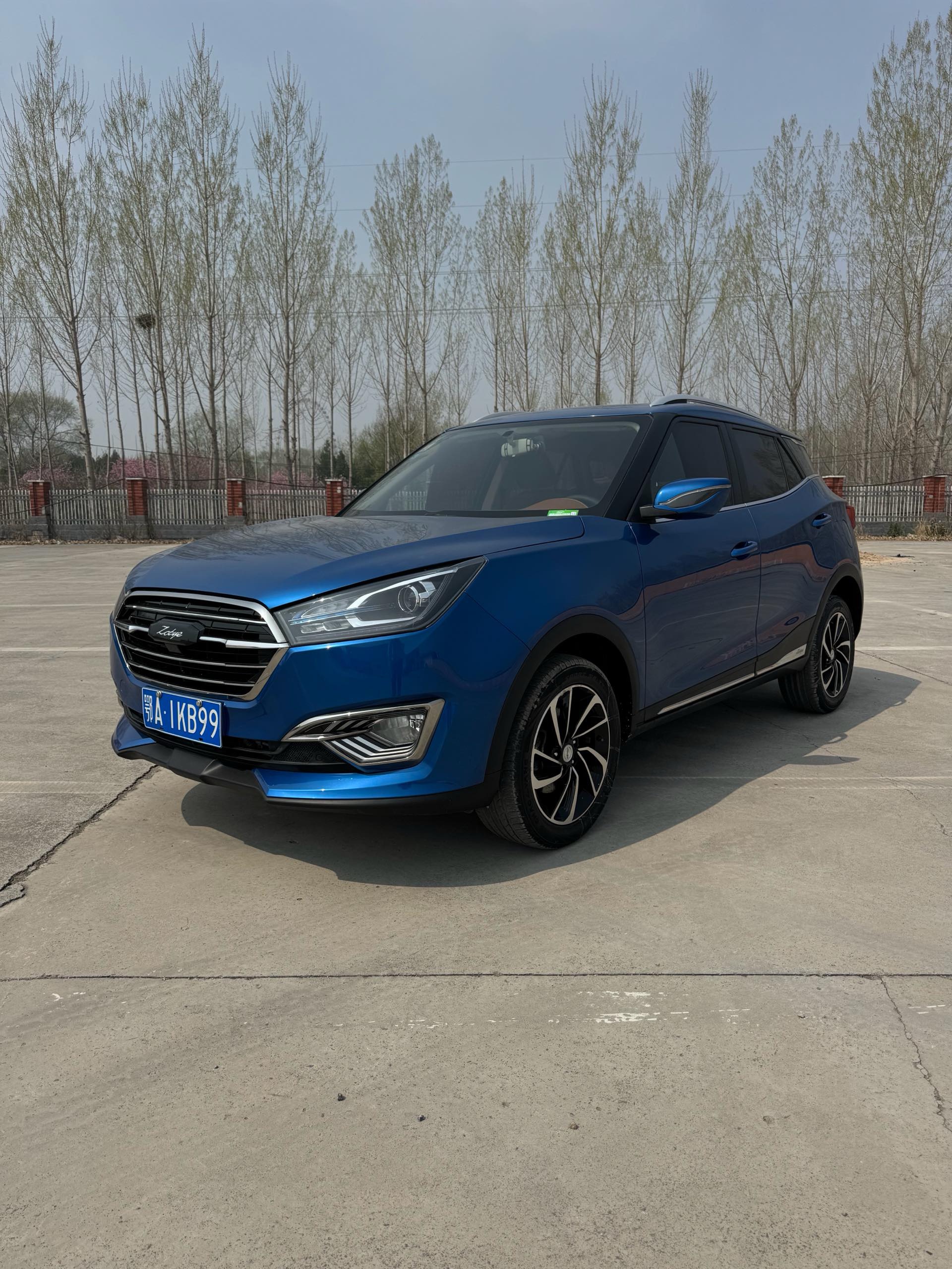 Zotye T300 2024 汽车图片 