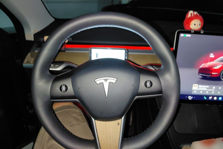 Tesla Model Y 2023 #11 Tesla Model Y 2023 car image #11