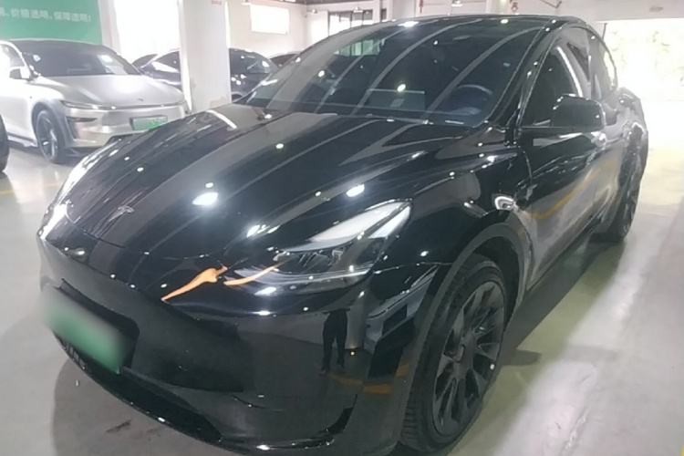 Tesla Model Y 2024 car image #2