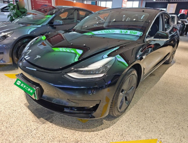Tesla Model 3 2020 Tesla Model 3 2020 car image