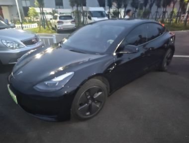 Tesla Model 3 2021 Tesla Model 3 2021 car image