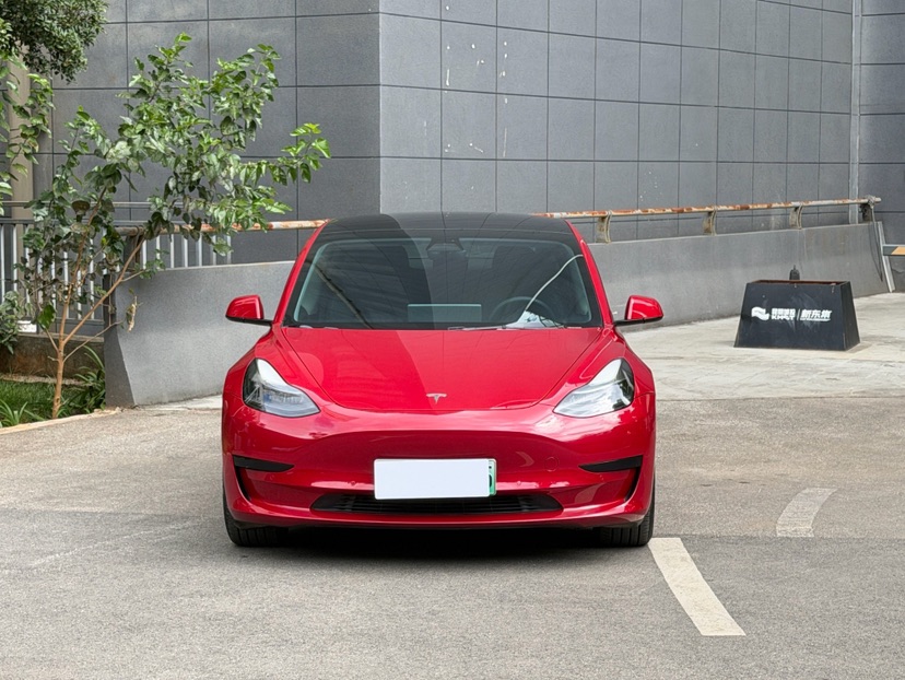 Tesla Model 3 2021 #2 Tesla Model 3 2021 car image #2