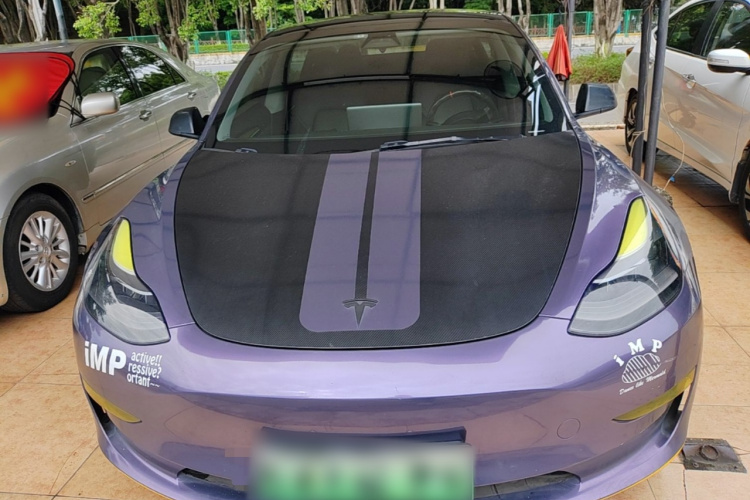 Tesla Model 3 2021 #3 Tesla Model 3 2021 car image #3