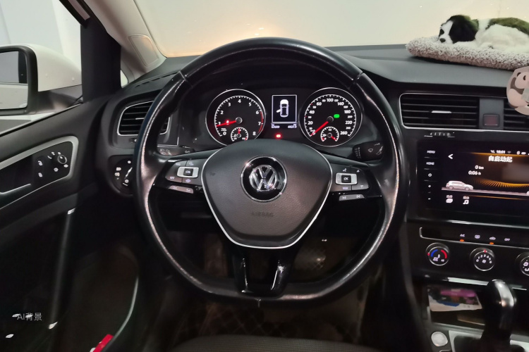 Volkswagen Golf 2020 car image #12