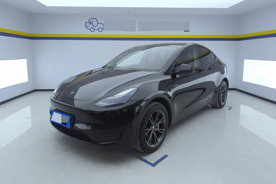 Tesla Model Y 2024 Tesla Model Y 2024 car image