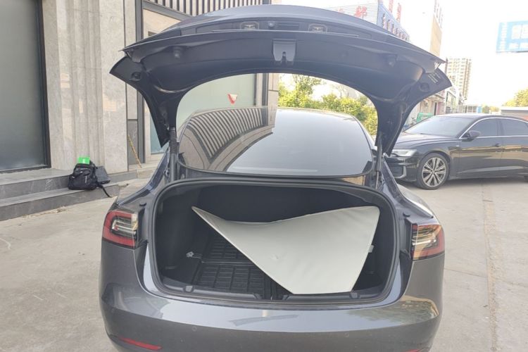 Tesla Model 3 2021 #19 Tesla Model 3 2021 car image #19