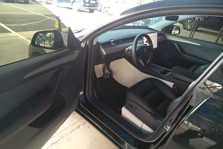 Tesla Model Y 2021 car image #16