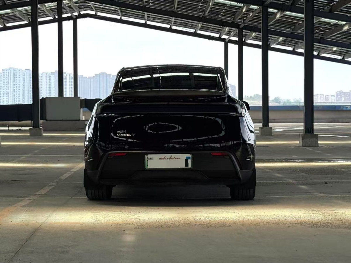 Tesla Model Y 2025 car image #4