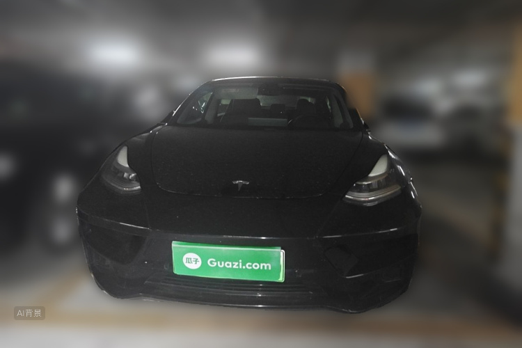 Tesla Model 3 2020 #3 Tesla Model 3 2020 car image #3