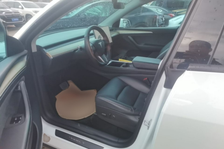Tesla Model Y 2021 car image #15