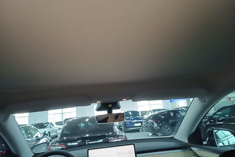 Tesla Model Y 2023 #20 Tesla Model Y 2023 car image #20