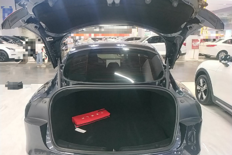 Tesla Model 3 2025 car image #21
