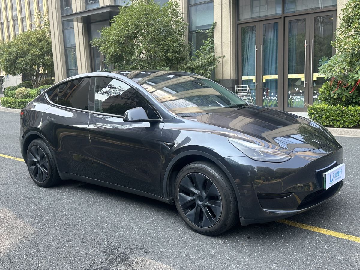 Tesla Model Y 2024 imagen de coche #2