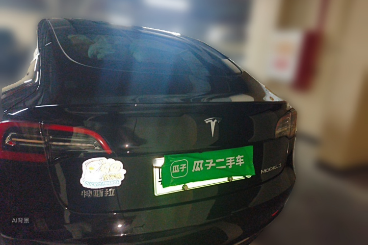 Tesla Model 3 2021 immagine di auto #6
