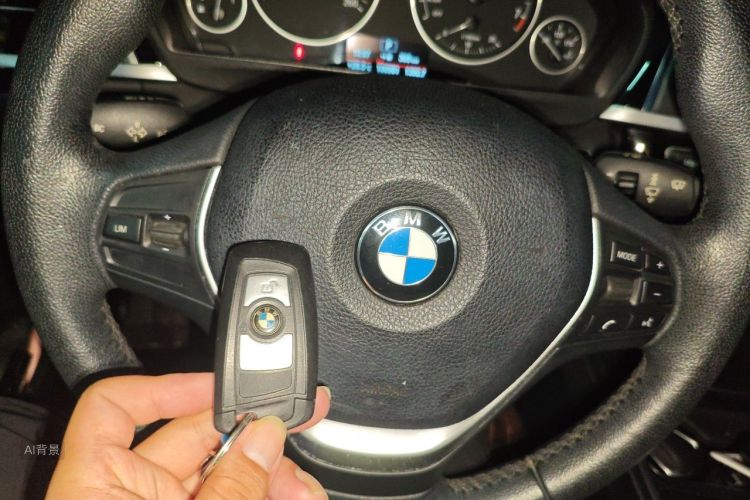 BMW 3 Series 2016 car image #10