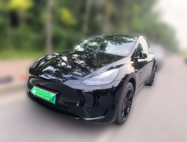 Tesla Model Y 2023 Tesla Model Y 2023 car image