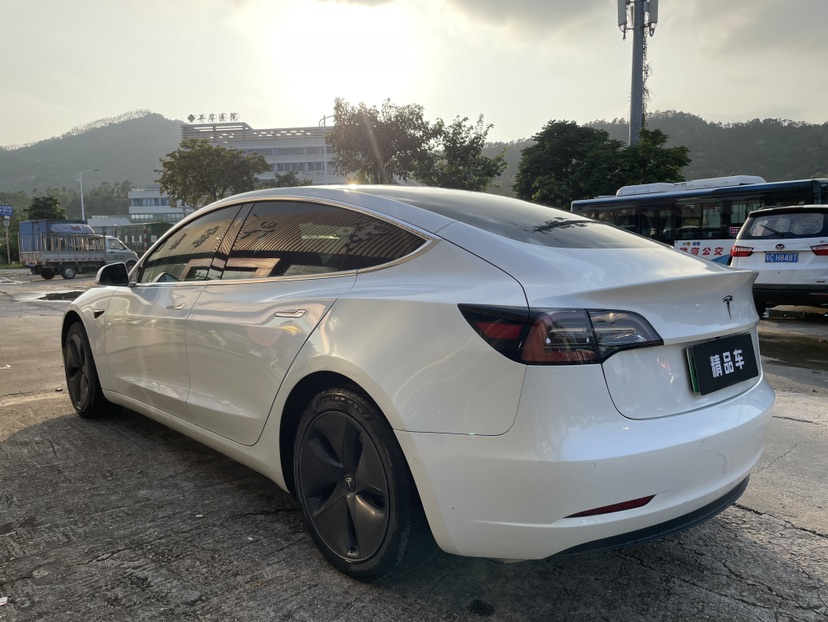 Tesla Model 3 2020 car image #8