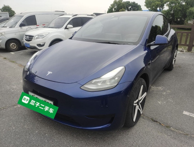 Tesla Model Y 2022 Tesla Model Y 2022 car image