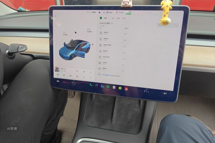 Tesla Model 3 2021 #15 Tesla Model 3 2021 car image #15