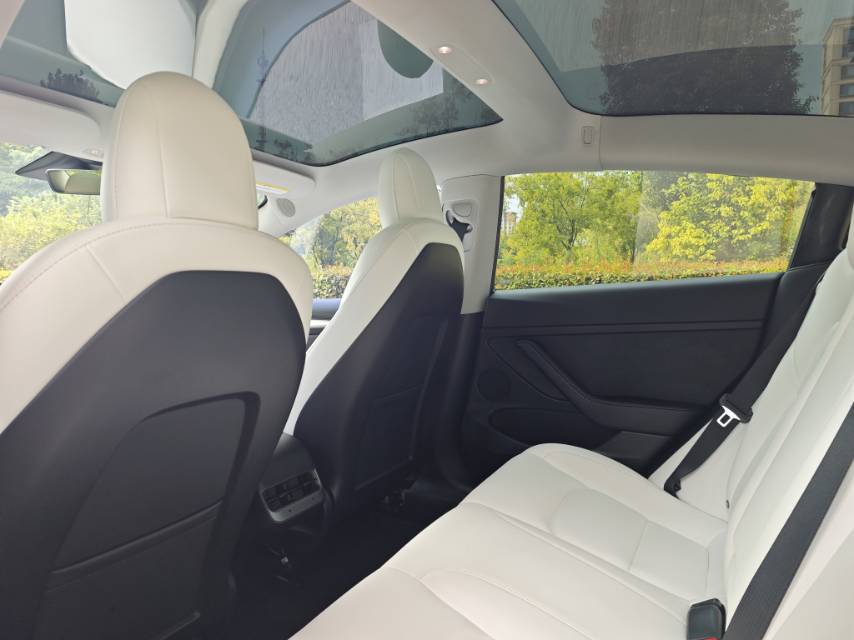 Tesla Model 3 2021 #5 Tesla Model 3 2021 car image #5