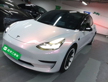 Tesla Model 3 2022 car image 