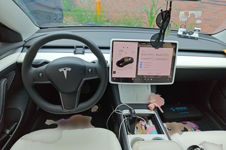 Tesla Model 3 2023 car image #10