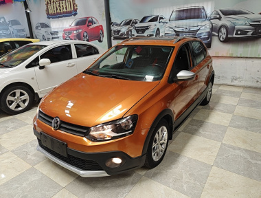Volkswagen Polo 2015 car image 