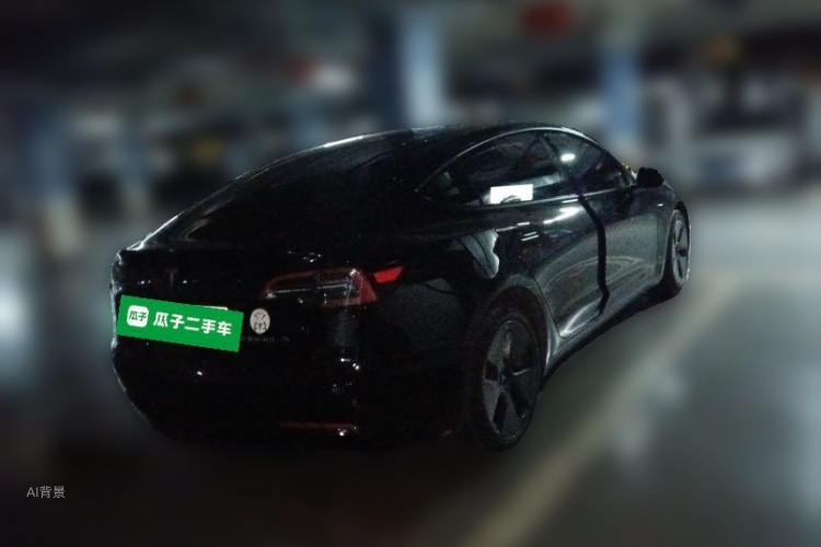 Tesla Model 3 2023 car image #7