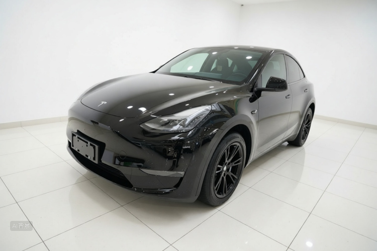Tesla Model Y 2021 #2 Tesla Model Y 2021 car image #2